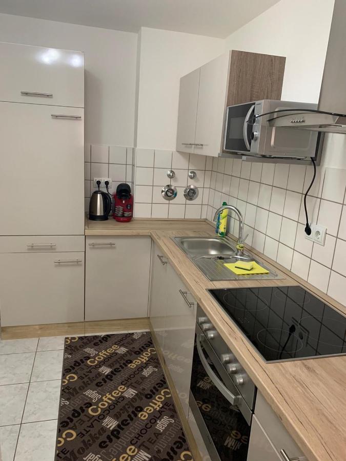 פירנה Apartment Saxonia מראה חיצוני תמונה