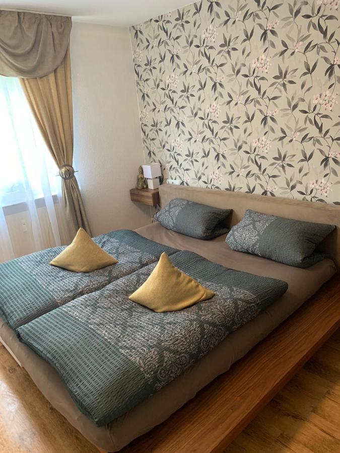 פירנה Apartment Saxonia מראה חיצוני תמונה
